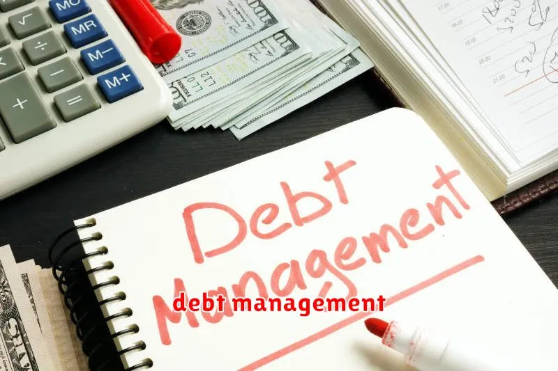 debt management