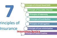 insurance basics