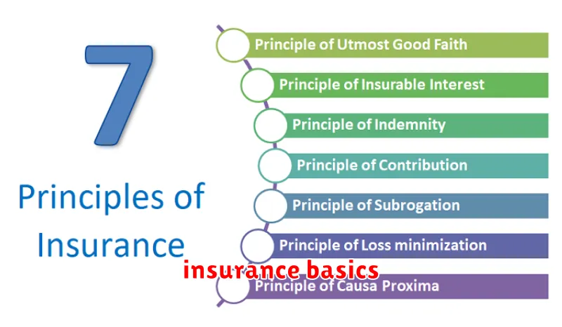 insurance basics