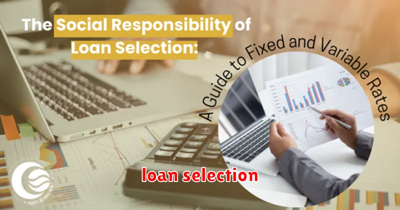 loan selection